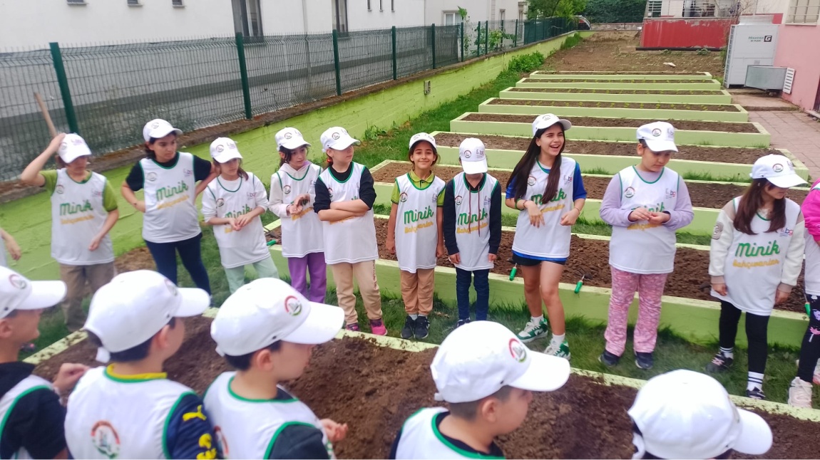 Yeşil Bahçem, Bahçıvan Çocuklar Projesi Fidelerimizi Ekmeye Başladık.